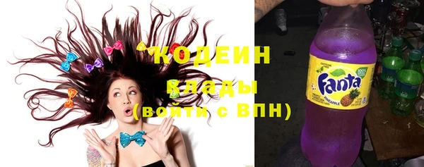 прущие грибы Абаза