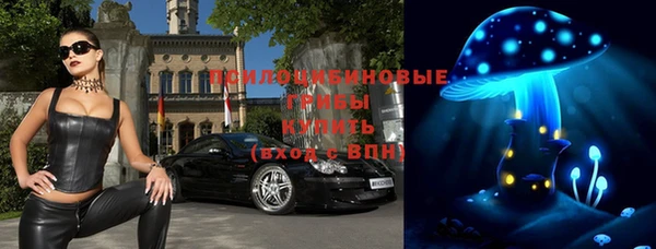 прущие грибы Абаза